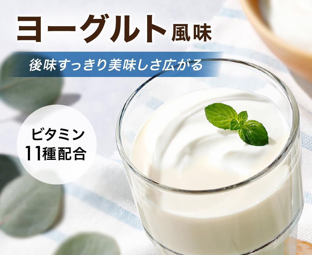 AMBiQUE Protein with 11 Vitamins and 4 Minerals for Men