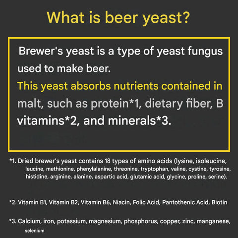 Asahi Super Beer Yeast Z supplement with zinc, maca and black garlic made in Japan