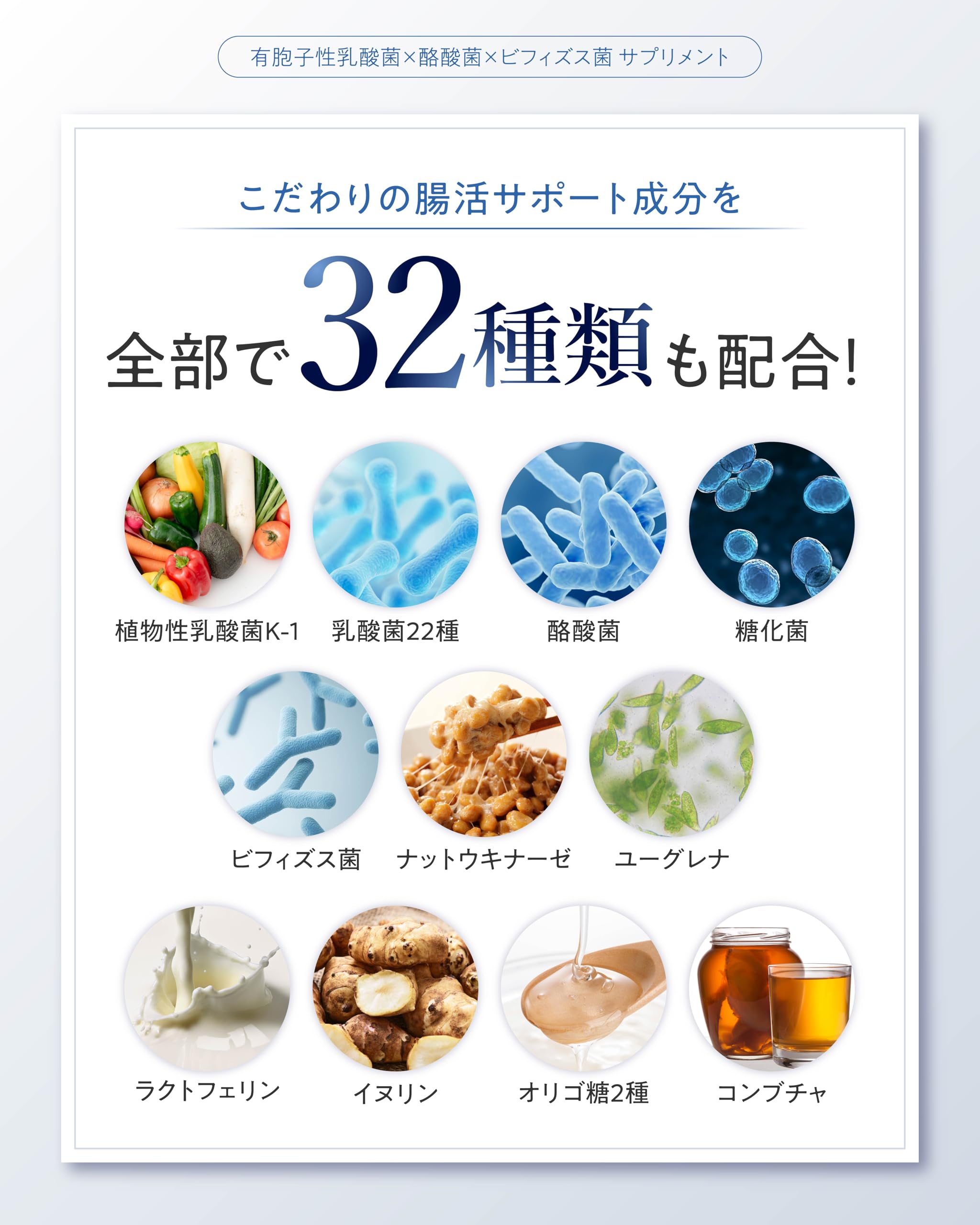 Japanese probiotic supplement with 32 gut-supporting ingredients including bifidobacteria, inulin, and lactoferrin