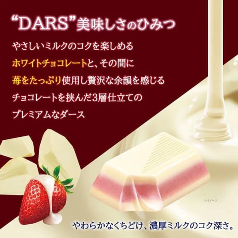 DARS Premium Rich Strawberry chocolate gift box made in Japan