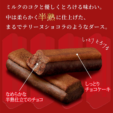 Semi-baked DARS Terrine Chocolat showing soft, rich interior texture