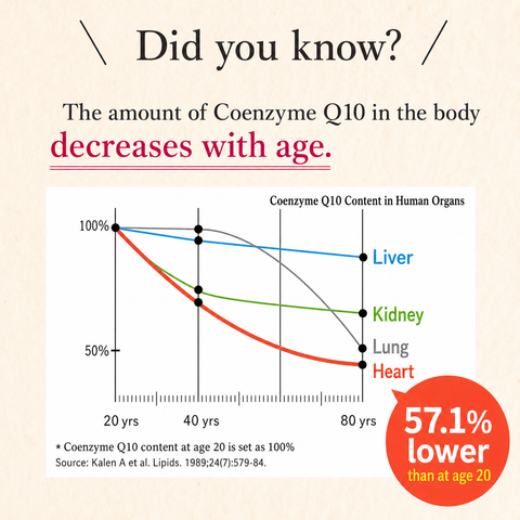 DHC Coenzyme Q10 supplement for antioxidant support and daily energy from Japan