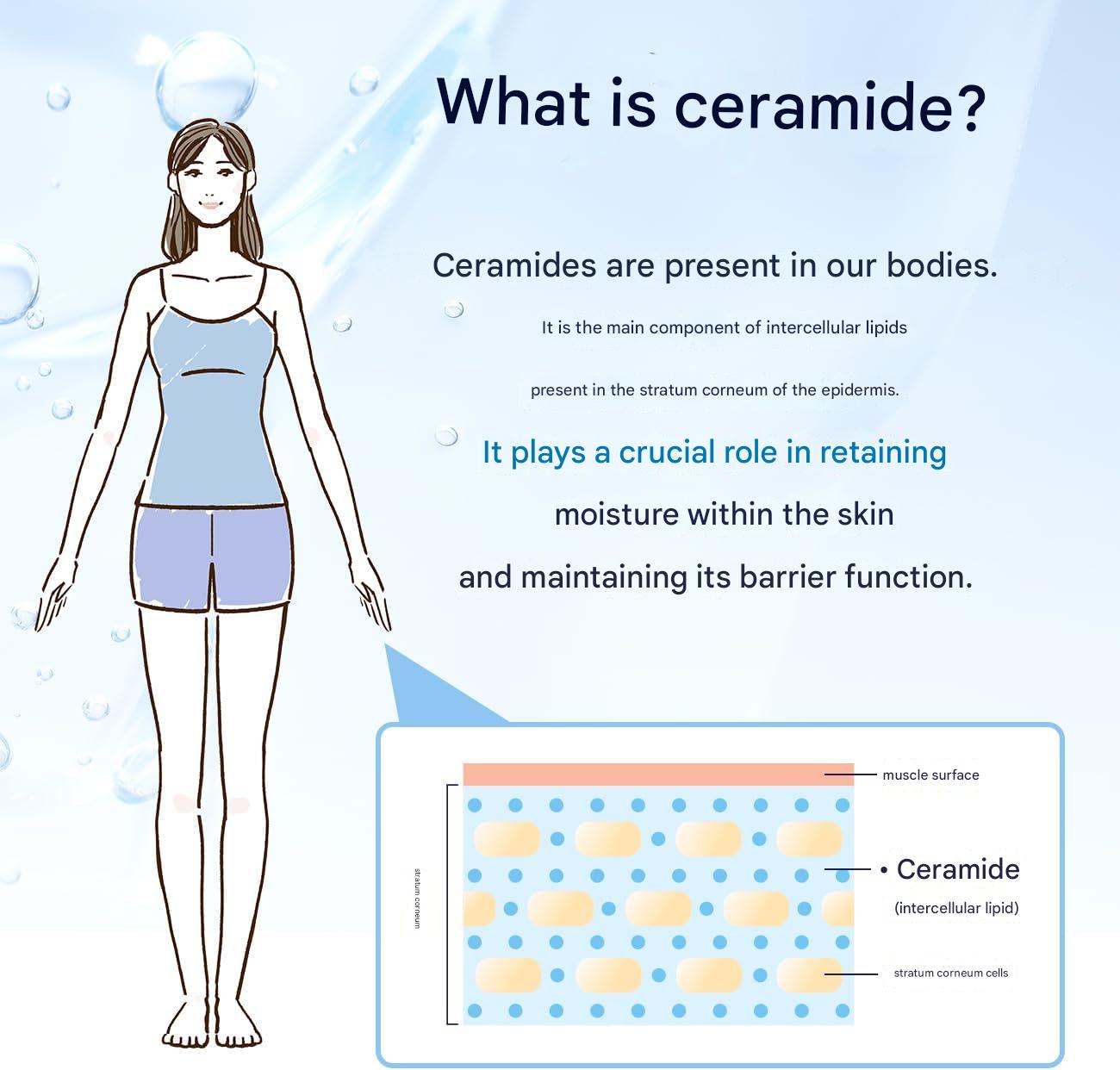 Woman skincare concept with DHC ceramide moisture supplement for hydrated skin