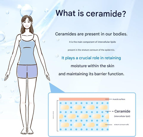 Woman skincare concept with DHC ceramide moisture supplement for hydrated skin