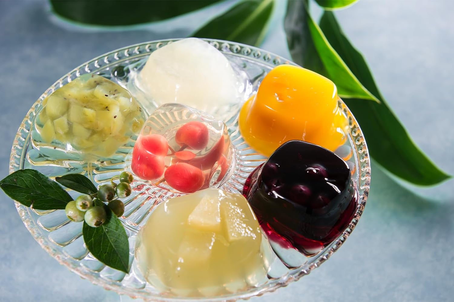 Assorted Ginza Sembikiya fruit jelly gift set made in Japan with six fruit flavors