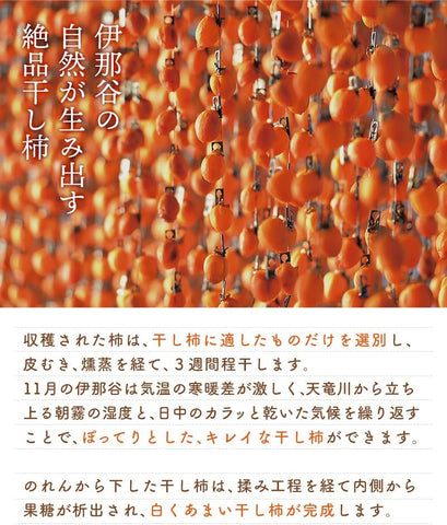 Back view of Tealife Ichidagaki Dried Persimmon Sticks packaging