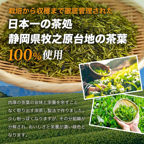 Arahataen Deep-Steamed Green Tea Bags – Shizuoka Japanese Green Tea 100 Packs
