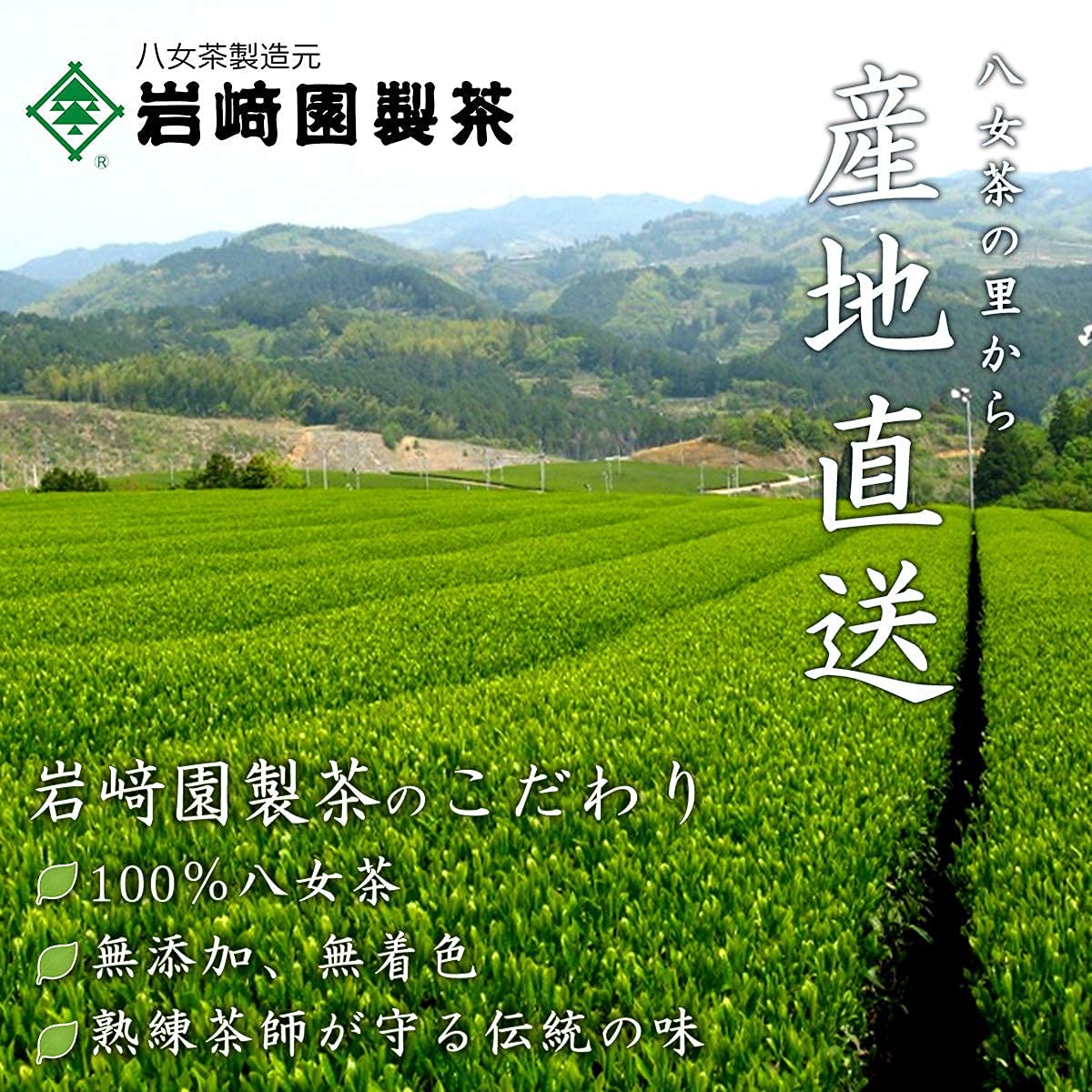 Iwasaki-en Sencha Gold 300g resealable pouch for everyday Japanese green tea