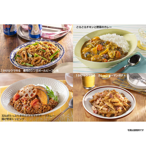 Japanese curry roux blocks from House Foods Java Curry Mild
