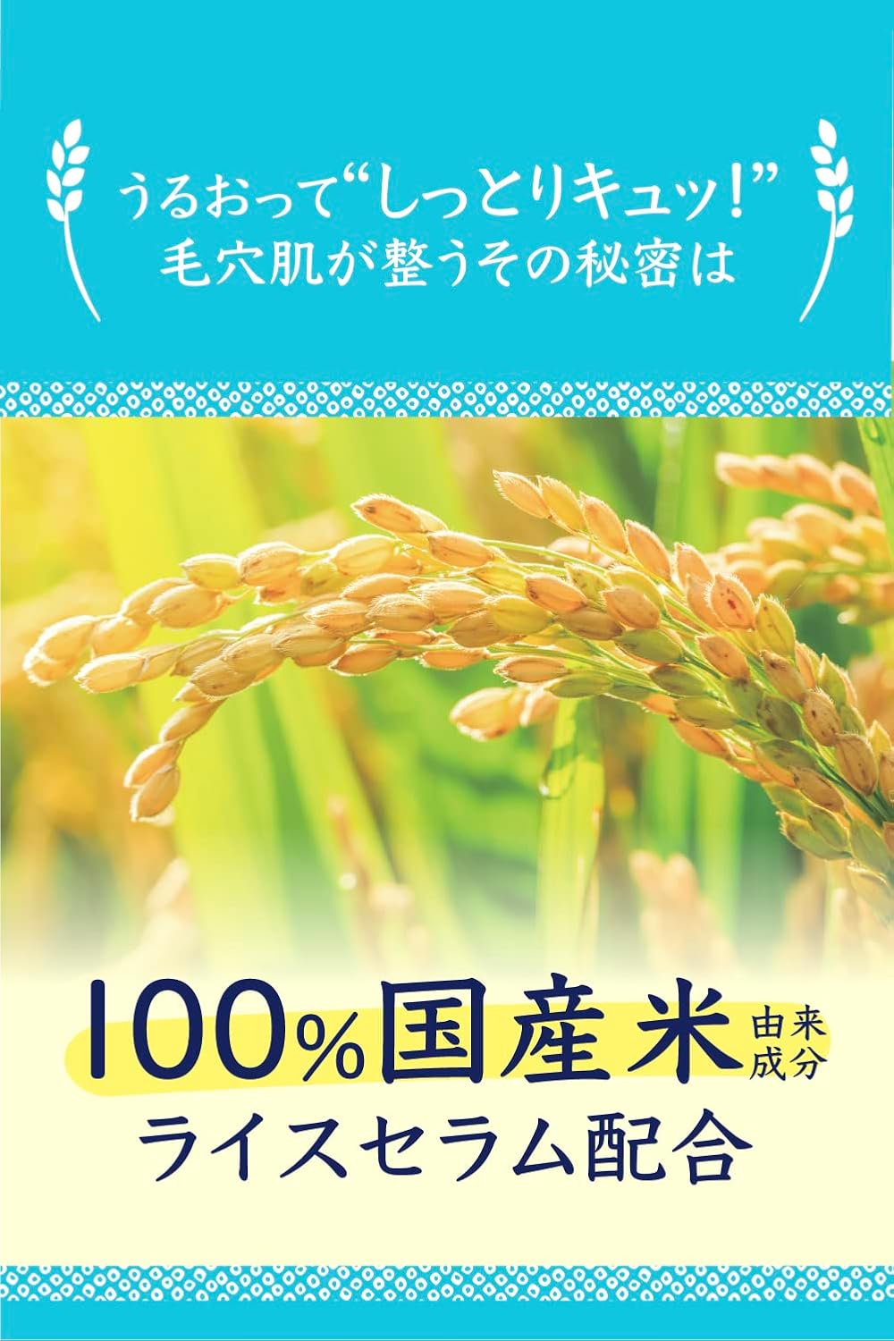 Rice Lotion 300ml front bottle for dry skin and pore care