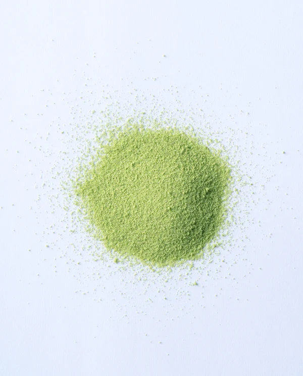 Kyoto Ippodo Uji Shimizu sweet matcha green tea sticks for hot and cold drinks