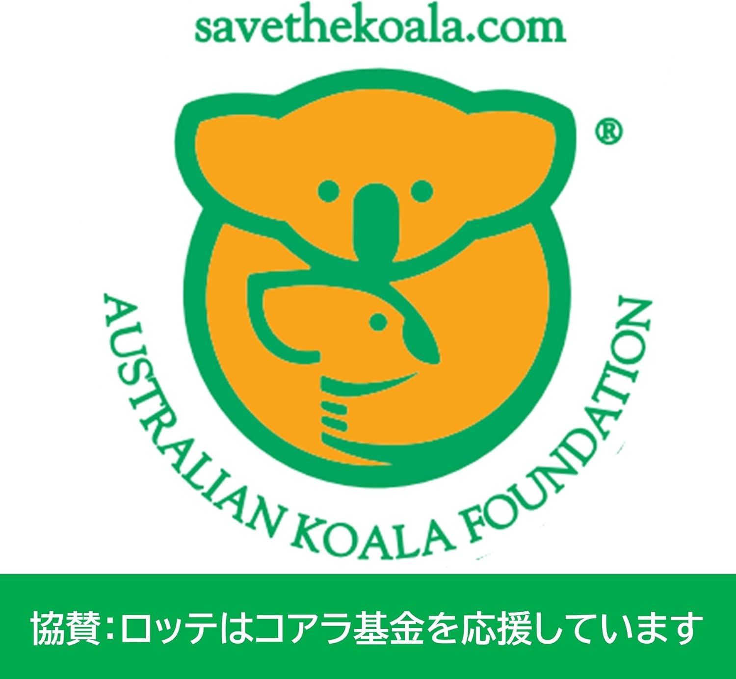 Lotte Koala’s March biscuits with adorable koala illustrations – Japanese kawaii snack
