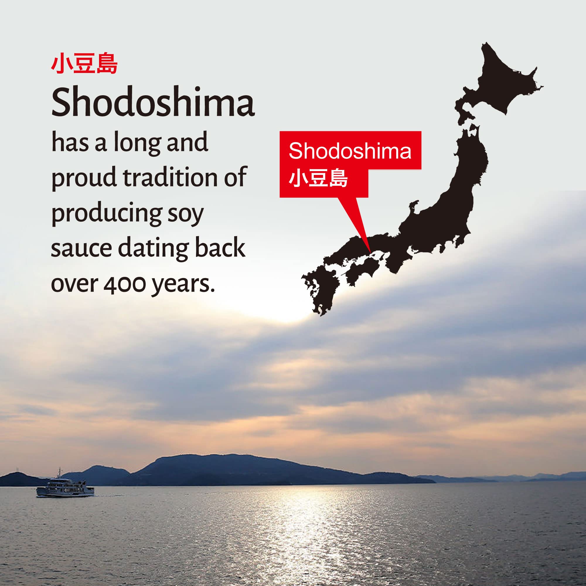 Raw-pressed soy sauce being poured to show its rich umami color