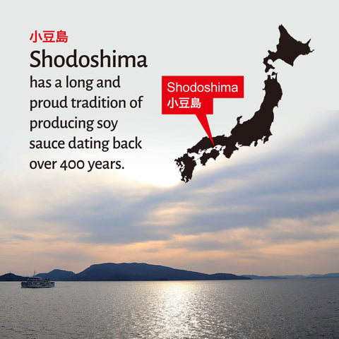 Raw-pressed soy sauce being poured to show its rich umami color