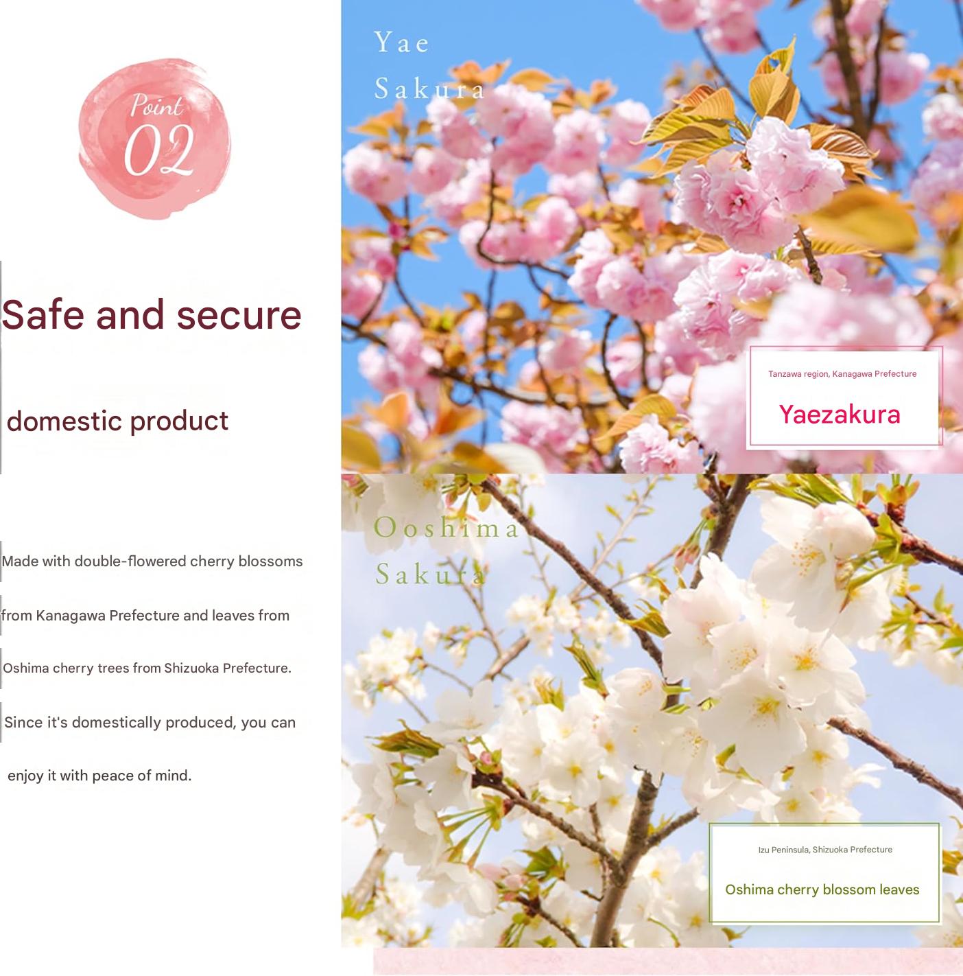 premium Japanese edible sakura powder made from cherry blossoms