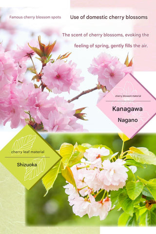 iced sakura latte refreshing cherry blossom drink with ice