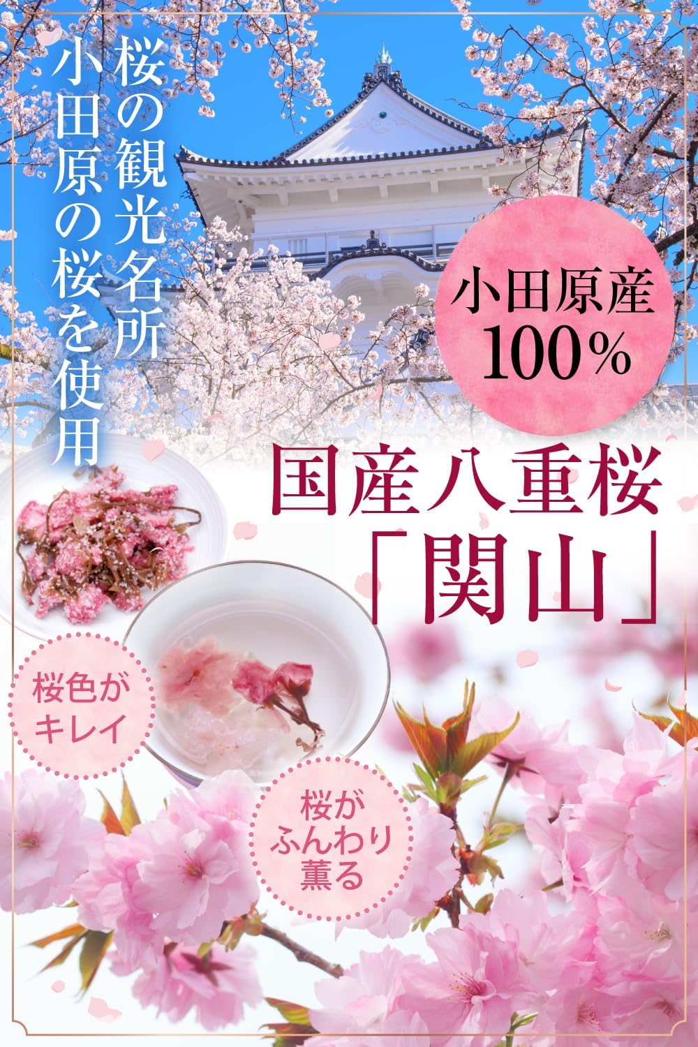 Blooming sakura tea made with salted cherry blossoms in hot water