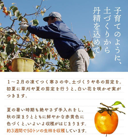 Lifestyle image of Tealife Japanese dried persimmon snack served on a plate