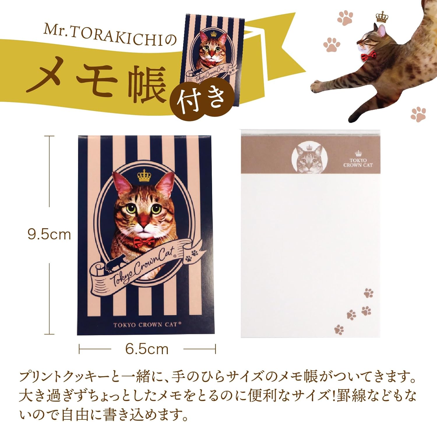 Close-up of TOKYO CROWN CAT Torazu butter cookies from Japan